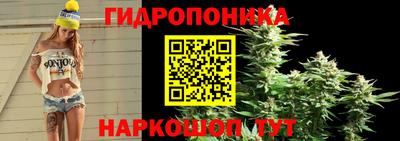 ALPHA PVP Тверь