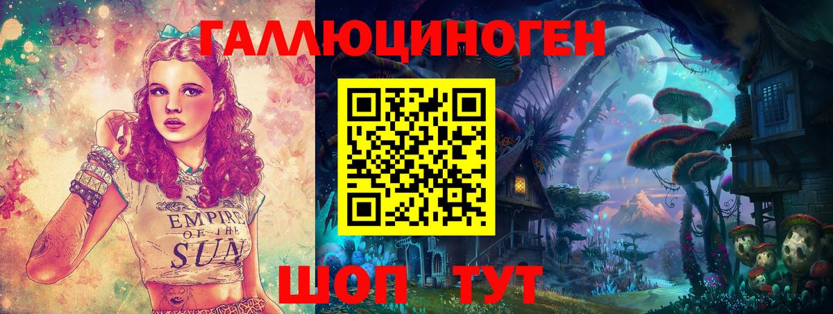 Новочебоксарск  Псилоцибиновые грибы MAGIC MUSHROOMS  Вход с VPN 