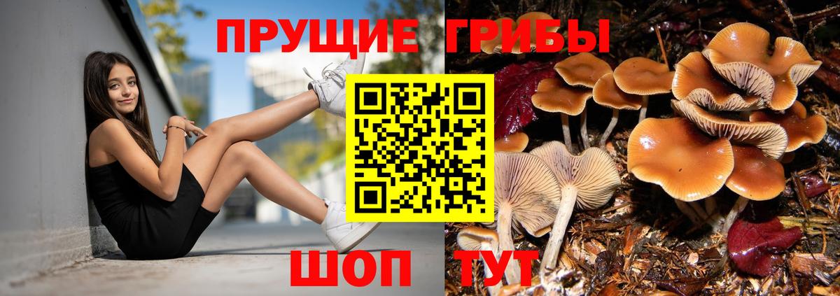 Псилоцибиновые грибы Magic Shrooms Новочебоксарск